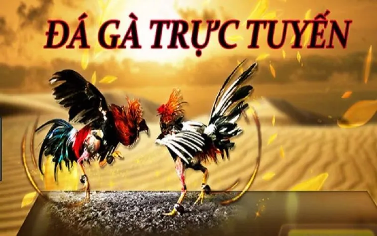 Cách Chơi Đá Gà GA28 Tại SHBET: Bí Quyết Thắng Lớn Từ Cao Thủ