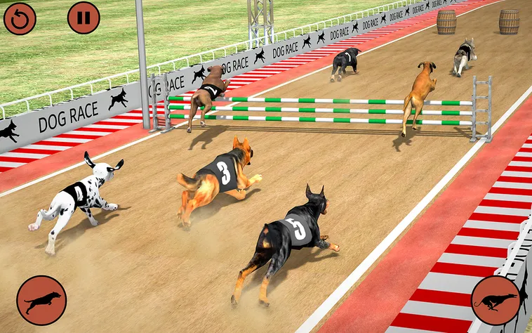 Kinh Nghiệm Chinh Phục Game Nhanh SHBET Của Dân Cược Lão Làng